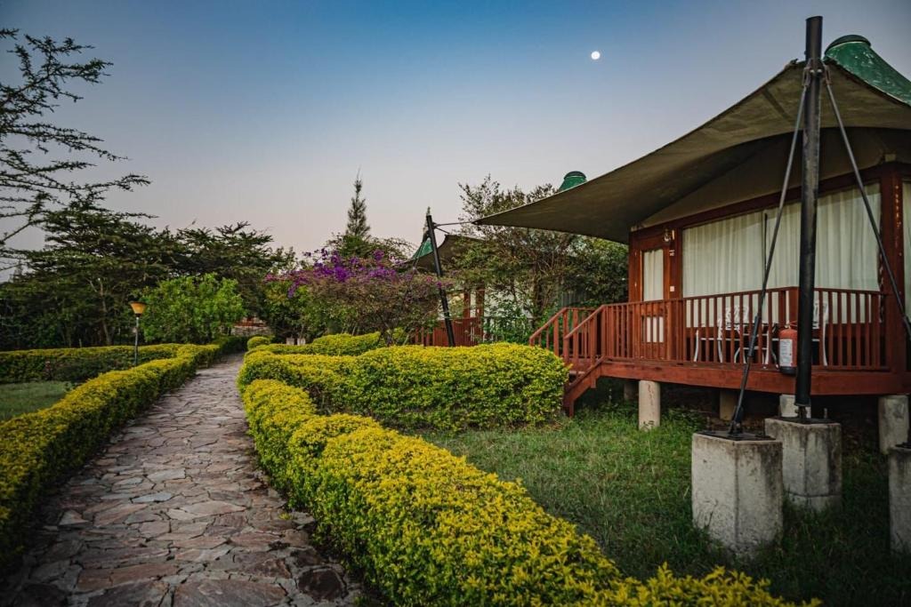 هتل لژ آ لاج ماسای مارا